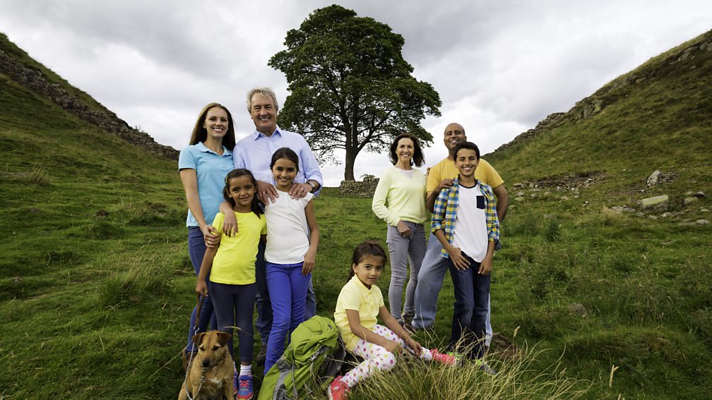 Family tree
